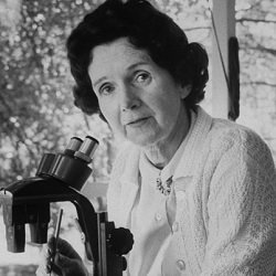 Rachel Carson: a rainha da primavera