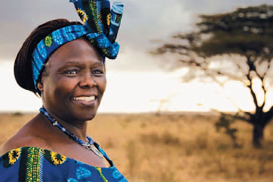 Wangari Maathai: minha ídala beija-flor