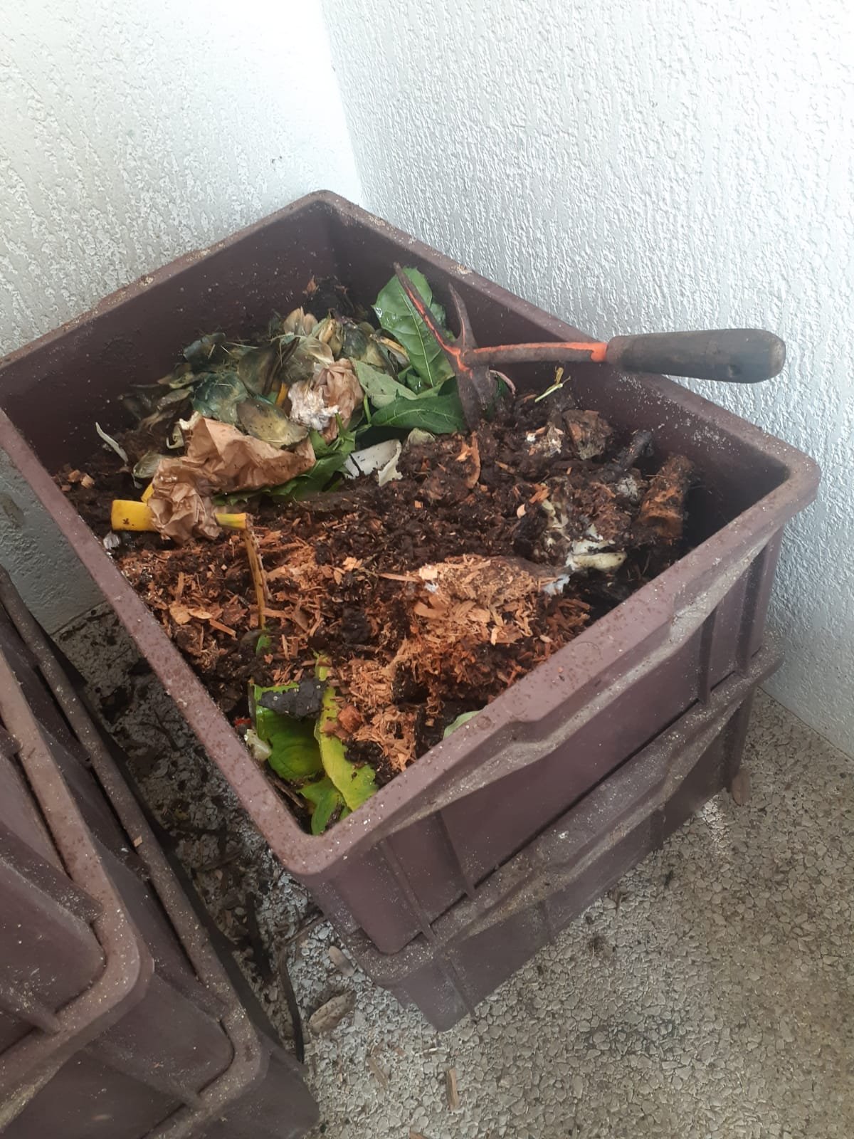 Minhocologia Avançada