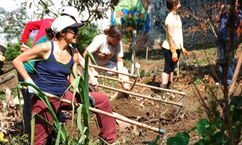 7 sugestões para o ativismo coletivo dar certo