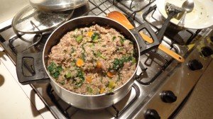 arroz cenoura taioba coracao no foco