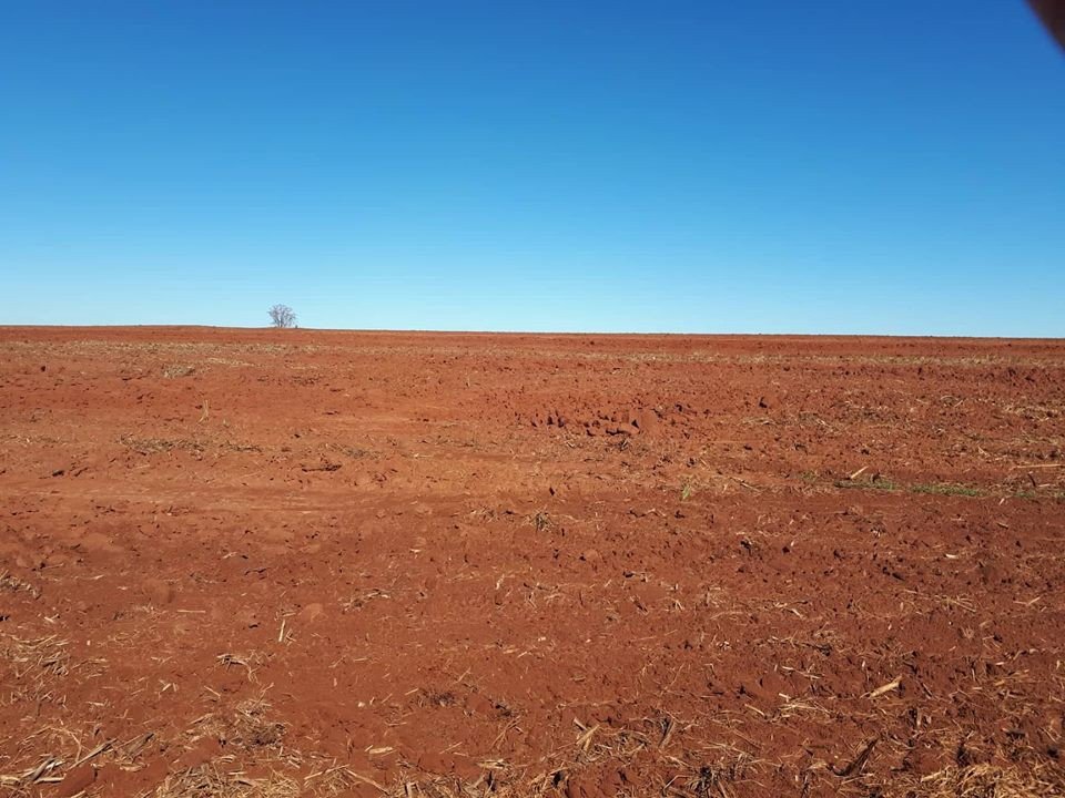 Virando deserto