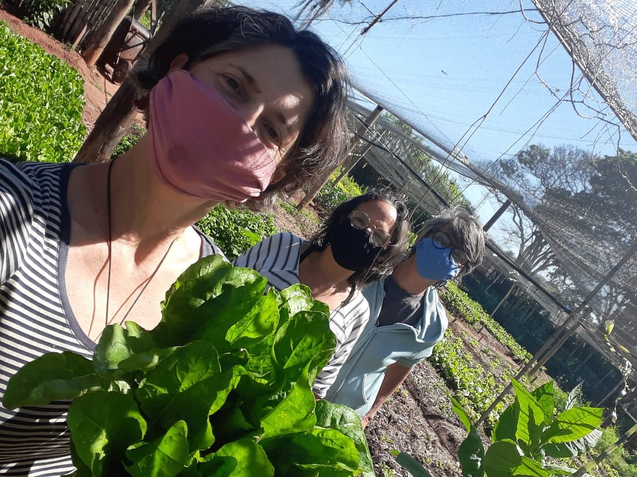 Agricultour 2021 - Sementes de Regeneração