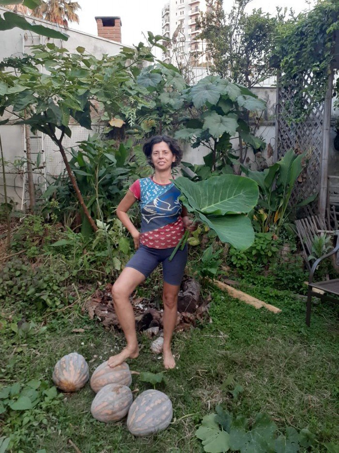 Agricultura urbana e colapsos